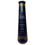 Lissage protine nanoplex arginina vitta gold 1 l