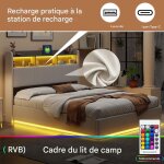 Lit coffre 160�200 cm - �clairage led - t�te de lit avec espace de rangement - sommier relevable hydraulique ...