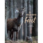 Livre - nature - les animaux de la for�t - diversit� des esp�ces - �cosyst�mes forestiers - photos naturaliste ...