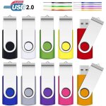 Lot de 10 cls usb srvr 8go multicolore - mmoire flash - usb 2. 0 - avec capuchon voyant