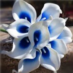 Lot de 10 fleurs de lys calla fausses fleurs artificielles dcoration de maison et mariage