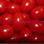 Oeufs de p�ques - lealoo - lot de 10 - plastique rouge brillant - hauteur 65 cm - d�coration de f�te
