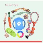 Jouet pour chien - lot de 10 corde multicolore - À mâcher - pour chiots et chiens - intérieur Jouet pour chien - lot de 10 corde multicolore - À mâcher - pour chiots et chiens - intérieur