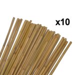 Lot de 10 tuteurs pour plantes et l�gumes - bambou - hauteur 90 cm