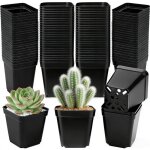 Lot de 100 godets pour semis trou de drainage plastique noir jardin int�rieur label