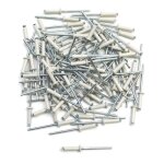Lot de 100 rivets plaque immatriculation top plaq
