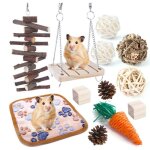 Lot de 12 jouets � m�cher en bois pour rongeurs ? hamsters cochons dinde chinchillas gerbilles