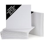 Lot de 14 toile a peindre - 30 x 30 cm - toile vierge pr� - �tir�e u2013 id�ales pour la peinture � lu2019huil ...