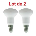 Lot de 2 ampoules led r50 5w e14 420lm 3000k blanc chaud