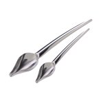 Cuill�res plumes - jean daudignac - lot de 2 - inox - d�coration assiettes - ustensiles cuisine