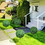 Lot de 2 grands arbustes artificiels de buis 70 cm de haut avec protection uv plantes artificielles r�alistes ...