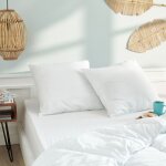 Lot de 2 oreillers 60 x 60 cm blanrêve gamme microfibre douceur traité anti acarien soft & care Lot de 2 oreillers 60 x 60 cm blanrêve gamme microfibre douceur traité anti acarien soft & care