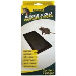 Lot de 2 piges  glu rats et souris - lucifer - noir