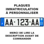 Lot 2 plaque dimmatriculation auto homologue france  personnaliser en aluminium - lire la description ...