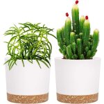 Lot de 2 pots de plantes pots pour plantes dint�rieur avec trous de drainage et base amovible soucoupe ...