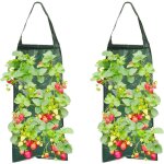 Lot de 2 sacs de plantation suspendus de 20 l pour fraisiers.