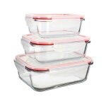 Lot 3 boites hermetiques rectangles clementine en verre borosilicate