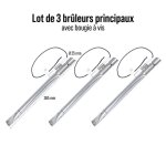 Lot 3 br�leurs avec bougie a vis
