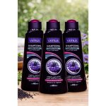 Lot 3 shampooing venus habba saouda / fleur de nigelle - laboratoires venus