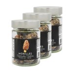Agidra - lot 3x morilles spciales sches sauvages bocal 30g