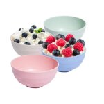 Lot de 4 grands bols  crales incassables en plastique rutilisables pour crales salade ptes nouilles ...