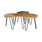 Lot de 4 tables basses rondes 50x40 cm en manguier et m�tal