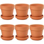 Lot de 6 mini pots en terre cuite 8 x 75 cm avec soucoupe et trou de vidange pot de fleurs avec plateau ...