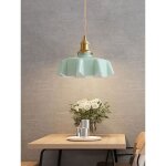 Lustre moderne - abat - jour en verre forme de p�tale vert douille en laiton e27 lustre romantique pour ...