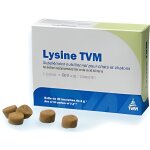Lysine tvm