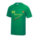 Maillot de foot - npz - inspir� du s�n�gal - coupe sport respirante - vert - 100% polyester