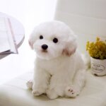 Maltais 38x26x21cm - peluche de simulation de bichon frisé pour chien jouet pour animaux de compagnie ... Maltais 38x26x21cm - peluche de simulation de bichon frisé pour chien jouet pour animaux de compagnie ...