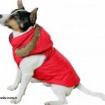 Manteau pour chien - ferplast - taille xl - imperméable - réversible - polyester / coton Manteau pour chien - ferplast - taille xl - imperméable - réversible - polyester / coton