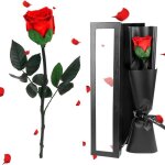 Margaux lonnberg - rose eternelle fleur eternelle rose eternelle cadeau femme saint - valentin vraie ...