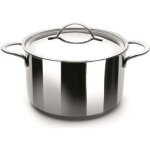 Marmite - ibili - noah - 28cm - inox 18 / 10 - tous feux dont induction