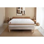 Matelas le d�licat 90x190 cm ressorts ensach�s + m�moire de forme 5 zones de confort - ep. 26cm