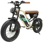 Maxtron w66 v�lo �lectrique 20 fat bike 250w batterie 48v 135ah autonomie 80 - 100 km shimano 7 vitesses ...