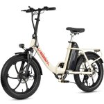 Maxturn mule v�lo �lectrique pour adulte moteur 250w batterie 48v 20ah velo electrique pneus larges 20 ...