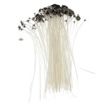 M�ches en coton pour bougies - lot de 50 - 15 cm - pr� - enduites de cire - 100% naturel - peu de fum�e ...