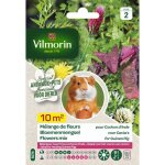 Graines - vilmorin - mélange de fleurs pour cochons d inde Graines - vilmorin - mélange de fleurs pour cochons d inde
