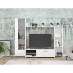 Meuble tv paroi pilvi - particules m�lamin� - d�cor blanc mat - porte vitr�e + 1 abattant + 5 niches ...