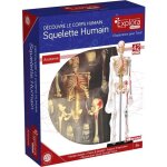 Mgm - explora - anatomie squelette - exprience anatomie