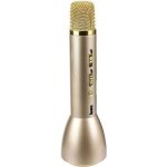 Micro enceinte karaok� sans fil - bemix - pour enfant - batterie - piles fournies