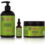 Mielle organics romarin renforc shampooing & masque & scalp huile pack 3
