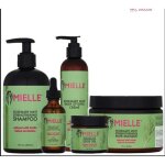 Mielle organics romarin renforc� shampooing & masque & scalp huile&styling cr�me &edge gel pack 5