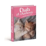 Millesima - agenda scolaire 2024 - 2025 chats et chatons - - miaou
