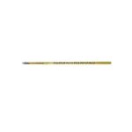 Mine pour stylo  bille - caran dache - swissride - noir - moyenne