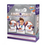 Mini laboratoire scientifique aimants