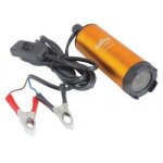 Mini pompe electrique de vidange submersible 12 volts huile gasoil eau de 51 mm