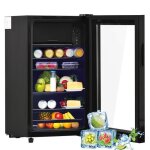 Mini rfrigrateur - dripex - 76 l - froid statique - 1 porte - tagres rglables
