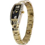 Montre femme carpe diem - minerva black plaqu�e or avec zirconium